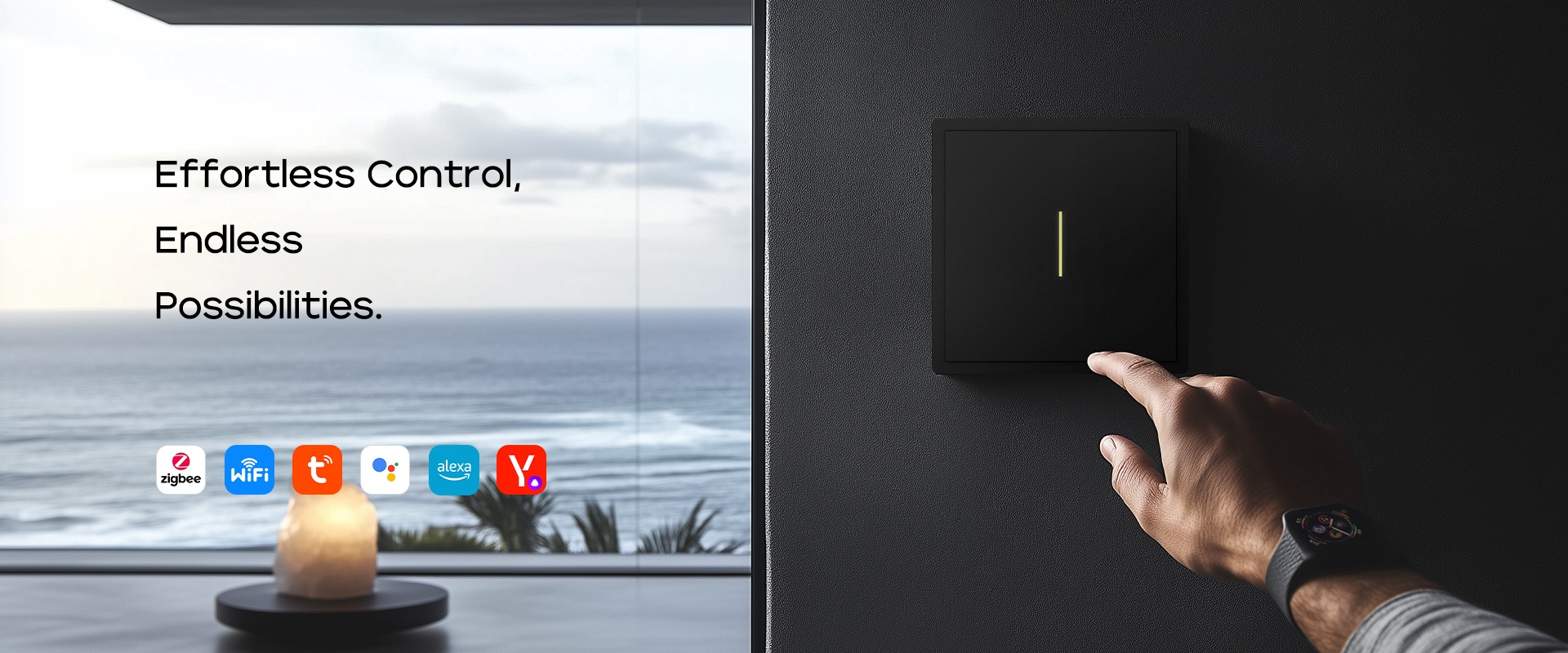 button switch (2)